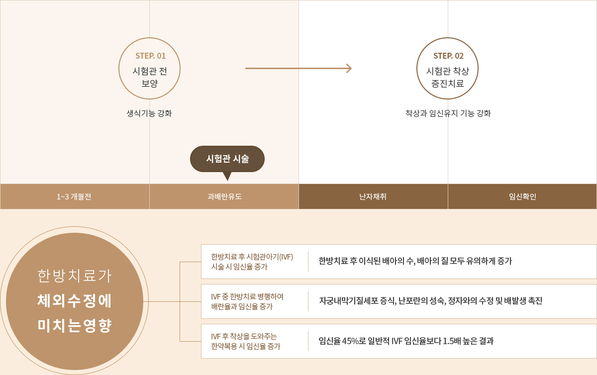 인애한의원 시험관 착상증진 치료 효과 — 난자 질 향상,자궁내막 성숙, 착상 안정, 유산방지 효과 도식