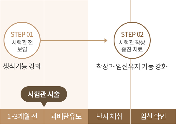 인애한의원 시험관 착상증진 치료 효과 — 난자 질 향상,자궁내막 성숙, 착상 안정, 유산방지 효과 도식
