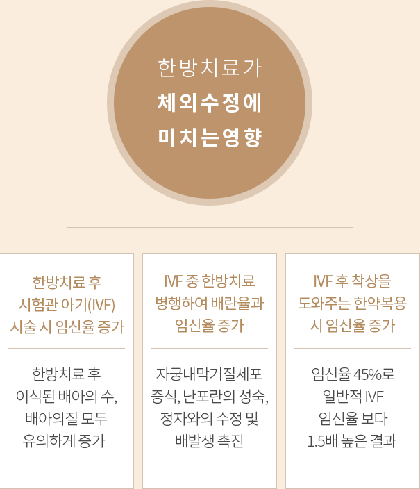인애한의원 시험관 착상증진 치료 효과 — 난자 질 향상,자궁내막 성숙, 착상 안정, 유산방지 효과 도식