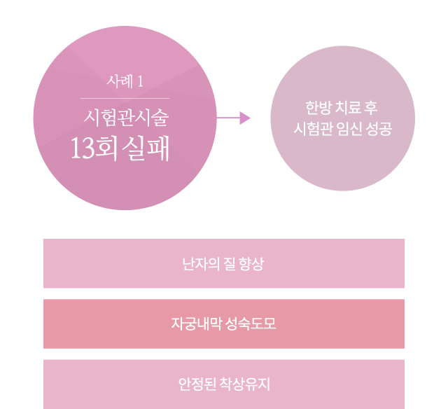 사례1 시험관시술 8회 실패 > 한방 치료 후 시험관 임신 성공 난자의 질 향상, 자궁내막 성숙도모, 안정된 착상유지